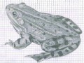 Rana (matita)
